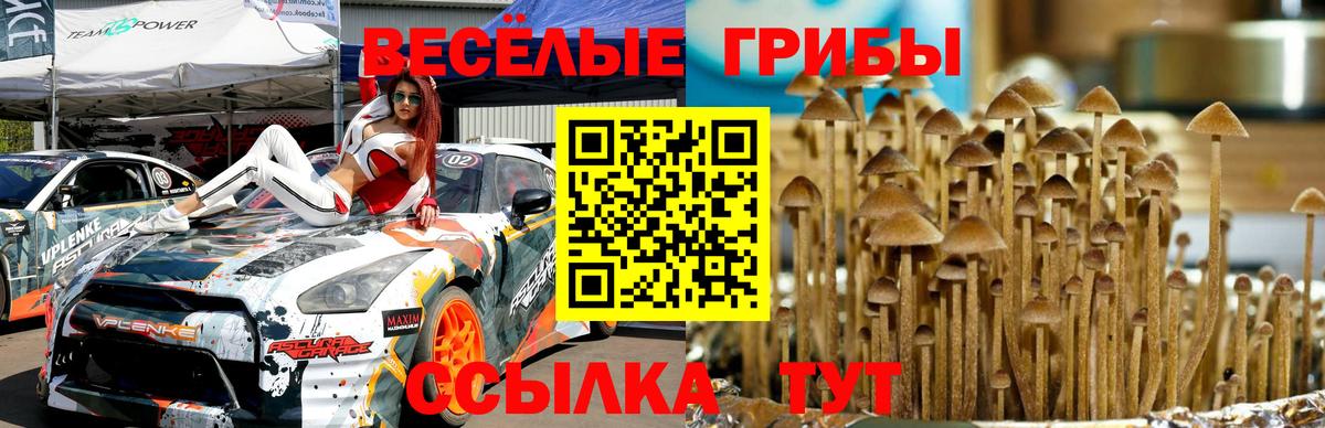купить наркоту  Псилоцибиновые грибы GOLDEN TEACHER  Вход с VPN  Лосино-Петровский 